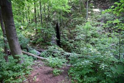 Buczyna, wapienie, jaskinie: nowy rezerwat niedaleko Krakowa