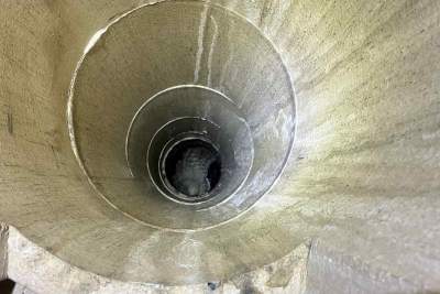 Nietypowa interwencja strażaków, ratują nie tylko ludzi