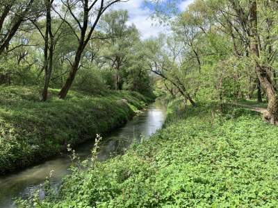 Budowa parku rzecznego Wilgi zdewastuje przyrodę? "Ileż można dyskutować"