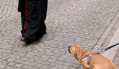 Jego zdjęcie kardynała Dziwisza okrzyknięto zdjęciem roku. Zapraszamy na spotkanie