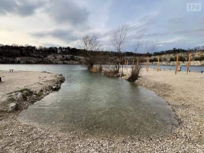 Jak sobie radzą w mieście... ropuchy? Ruszyły badania na Zakrzówku
