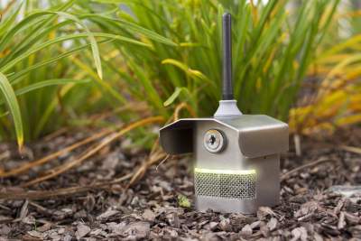 Ich czujniki to rewolucja. Teraz wiesz, czy można iść na spacer