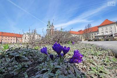 W tym roku dzień i noc zrównały się wcześniej. Krakowscy naukowcy tłumaczą dlaczego