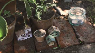 To będzie wyjątkowy ogród w mieście, z częścią ogrodniczą i farmą miejską