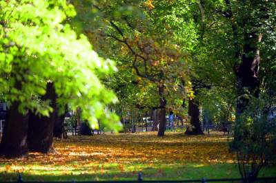 Prognoza pogody dla Krakowa:  jak długo potrwa złota polska jesień?