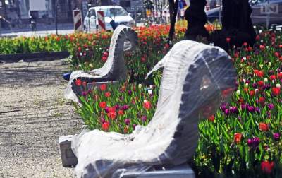 Przerwany remont Placu Biskupiego. Miasto zerwało umowę