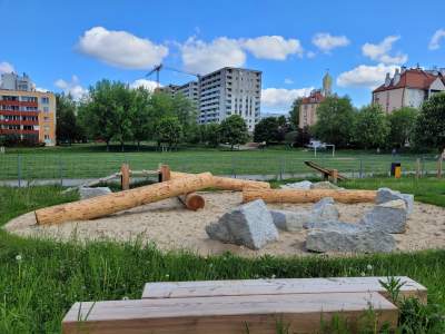 Wyznaczyli miejsca dla psich wybiegów, mają powstać w każdej dzielnicy