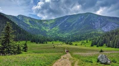 Krzysztof Piasecki: W góry albo nad morze. Tylko po co?