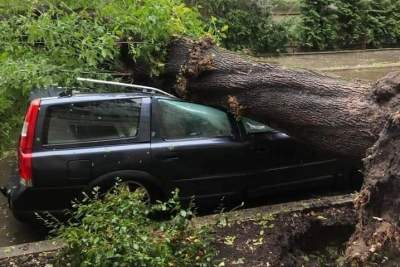 Zerwane dachy, połamane drzewa, trwa sprzątanie po burzy. Film i zdjęcia