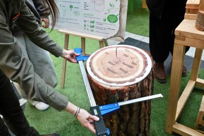 Labirynty, puzzle, instlacje i... dendrofon. Specjalna akcja galerii handlowej