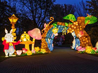 Ogród świateł przyciąga tłumy. Jedyne takie miejsce w Polsce