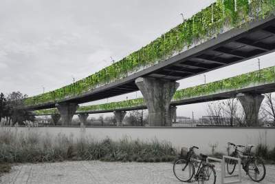 Żywe estakady i miejska farma. Młody architekt marzy o zielonej rewolucji