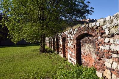 Tu latem odpoczywać będą mieszkańcy Kazimierza? „Trwają rozmowy z zakonem Paulinów”