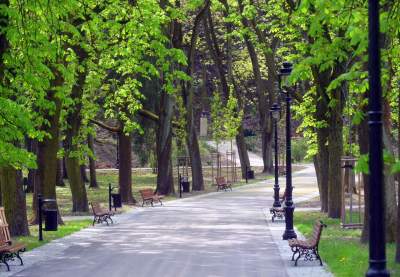 Park Bednarskiego po remoncie. Czy obawy aktywistów były zasadne?