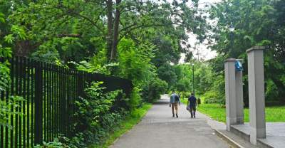 Co robił mężczyzna w parku i jak udało się go znaleźć? Żadnych miłych wiadomości w gazetach