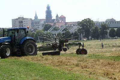 Jest upał, jest decyzja w sprawie koszenia trawy w Krakowie