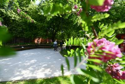 Krakowianie coraz chętniej włączają się w tę inicjatywę. Efekty są znakomite