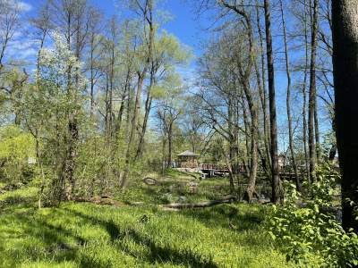 Kraków nagrodzony w konkursie "Miasto z klimatem". Za park Duchacki