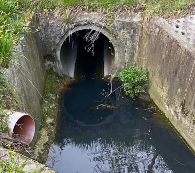 Zrzuty ścieków w pobliżu ujęcia wody pitnej. "Jaką wodę pije Kraków?"