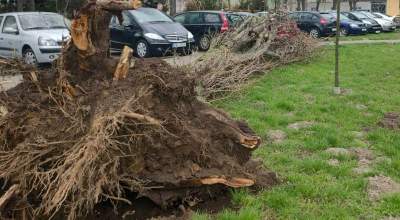 Ostrzeżenie przed silnym wiatrem, w regionie zginęło już pięć osób
