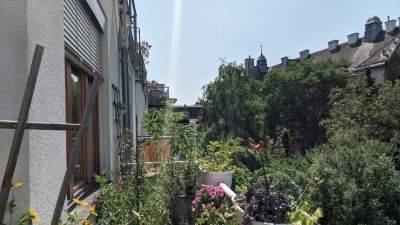 Jak walczyć z wyspami ciepła w mieście? Dyrektor Kempf podgląda Wiedeń