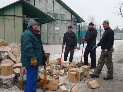 Krakowscy przyrodnicy o walce o ocalenie Ogrodu Botanicznego w Kijowie