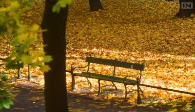 Palenie liści w Krakowie surowo wzbronione, MPO przypomina