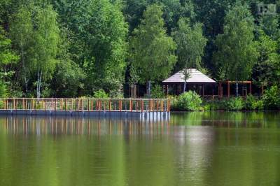 Mieszkańcy Krakowa mają zdecydować o przyszłości zieleni w mieście