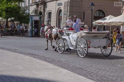 W niedzielę dorożki nie wjadą na Rynek Główny. Postoje zastępcze nieczynne
