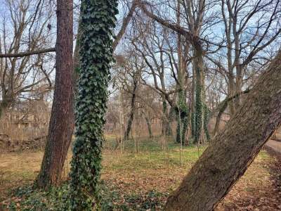 Czekaliśmy wiele lat: jest data otwarcia kupionego przez miasto parku Jalu Kurka