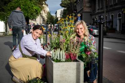Jedna z najładniejszych uliczek w Krakowie: zielona Krupnicza jeszcze bardziej zielona