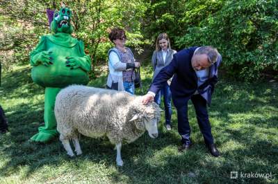 Smok, owieczka Janina i moc atrakcji. "Kraków Cię zasmoczy"