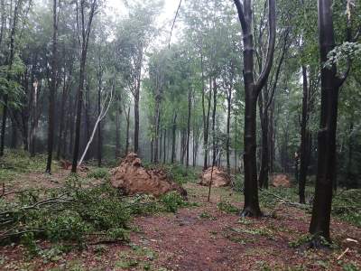 Obowiązuje ostrzeżenie drugiego stopnia. “Uważajcie na siebie"