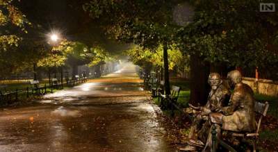 Zieleń w Krakowie ma być priorytetem, obietnice urzędników na 2026 rok