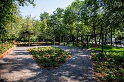 Zamienili dziki parking w park, ale „ciągle im mało”, jest ciąg dalszy