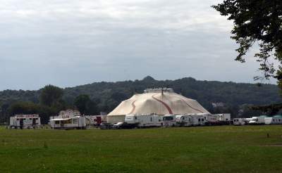 Radna Małgorzata Jantos proponuje: Cyrk bez zwierząt