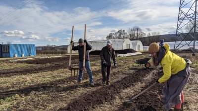 Pracują za darmo albo miskę warzyw. Czego rolnik szuka w mieście?