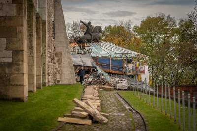 Co koń Kościuszki na Wawelu ma w środku? Konserwatorzy użyli endoskopu
