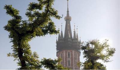 Drzewa na Rynku, a może jeszcze przywrócić tramwaj? "Bo kiedyś tak było"