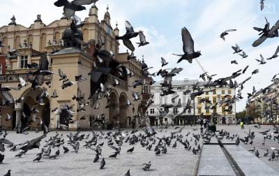 W Krakowie słychać było wycie syren. Wojewoda zignorował apele