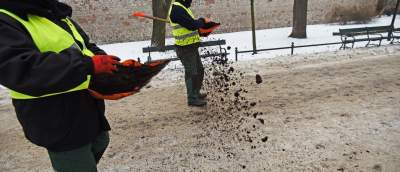 Zarząd Zieleni Miejskiej znów prosi o fusy. Będą rozsypane na Plantach