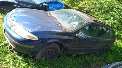 Zajmują cenne miejsca postojowe w mieście, to prawdziwa plaga