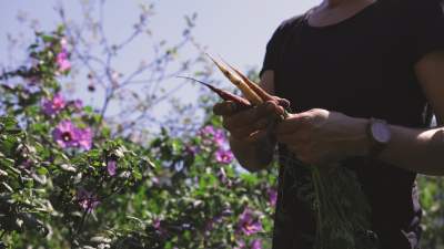 Pierwsza taka przestrzeń w Polsce: w Krakowie powstaje ogród społeczny parcelowy