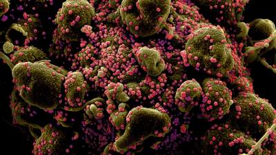 K. Piasecki: Mam odpowiedź dla wszystkich, którzy pytają – „widziałeś covida?”