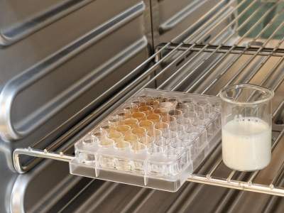 Naukowcy z AGH testują nowatorski opatrunek, może uratować przed amputacją