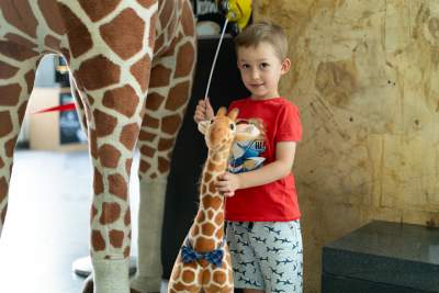 Zaginęła mała żyrafa, apel Szpitala Uniwersyteckiego