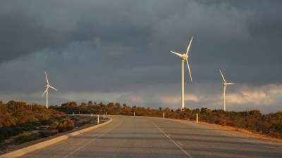 Krzysztof Piasecki: Niemcy wdmuchują nam wirusa!