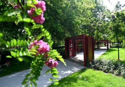 Piękny Ogród Krakowianek, na cześć kobiet walczących o prawa obywatelskie