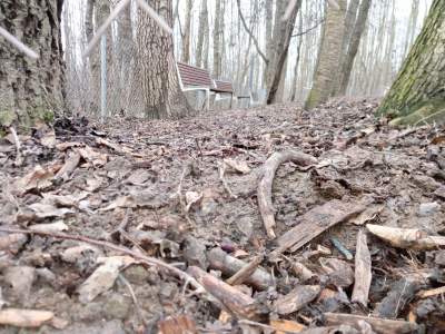 Uważajcie! Niebezpieczny wybieg dla psów w Parku Reduta