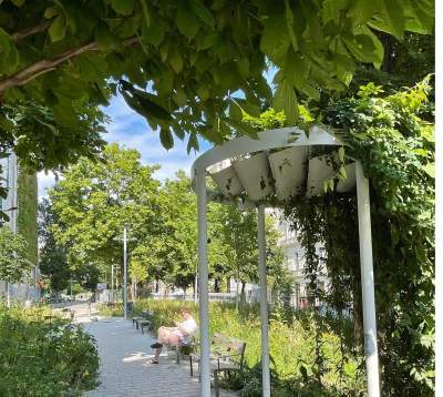 Jak odbetonować miasto? "Kraków podąża śladem Wiednia"